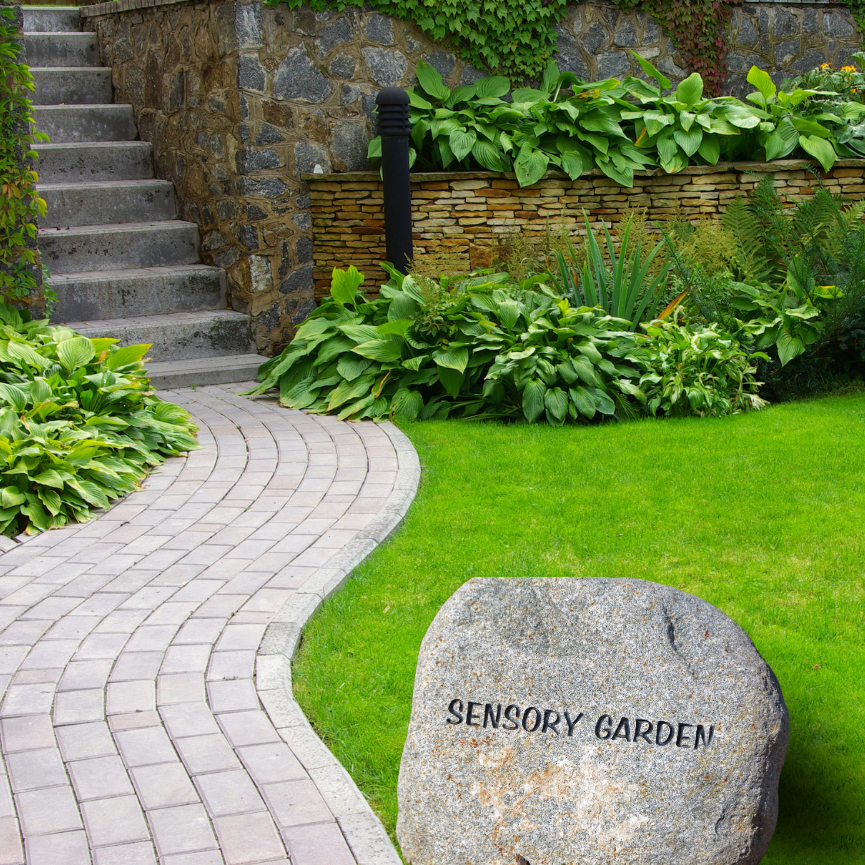 Sensory Gardens