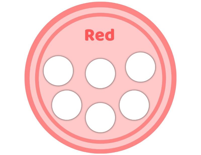 Color Sorting Activity