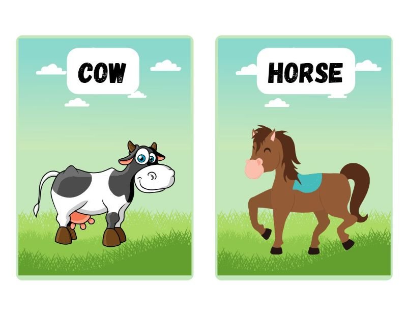 Farm Animals Flashcards