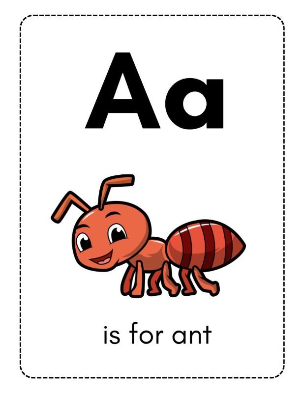 FLASH CARDS
