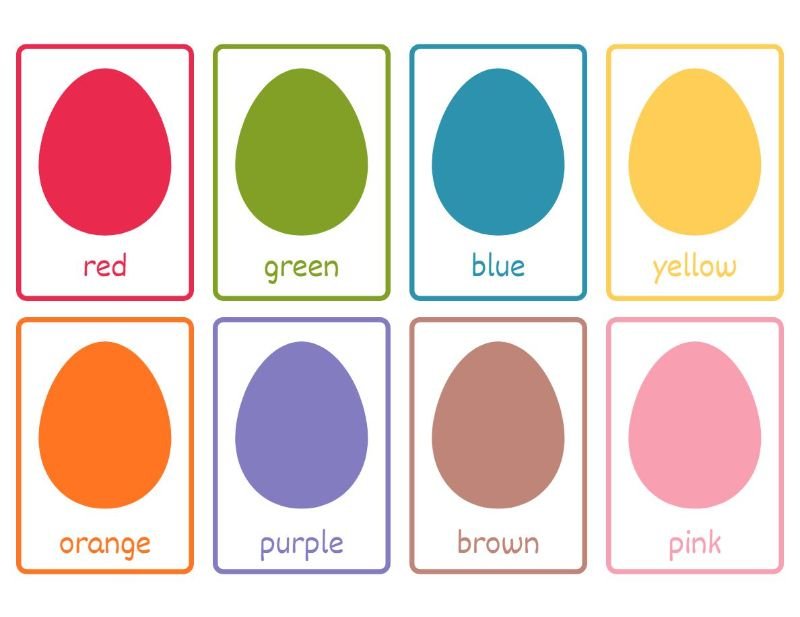 Color Flashcards