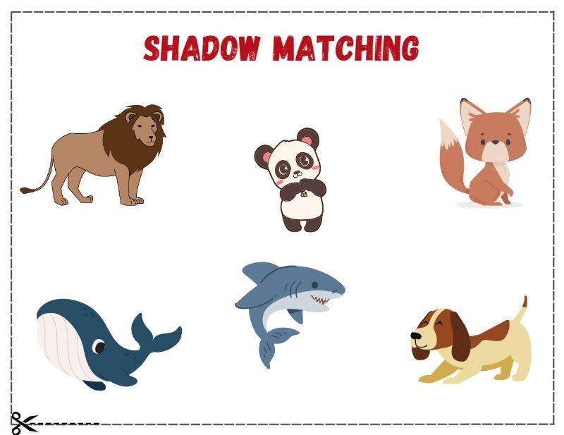 Shadow Matching Activities
