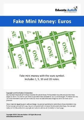 Mini Euro Notes - Educate Autism