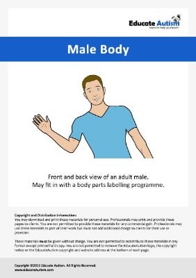 Male Full Body Anatomy for Autism Education