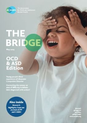 The Bridge