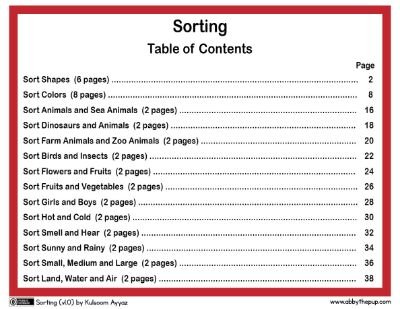 Sorting Activities: Organizing for Fun and Learning
