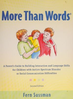 More Than Words: A Parent’s Guide to Building Communication in Autism