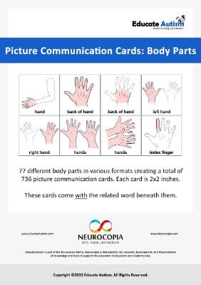 Picture Cards Male Body Parts with Words - Educate Autism
