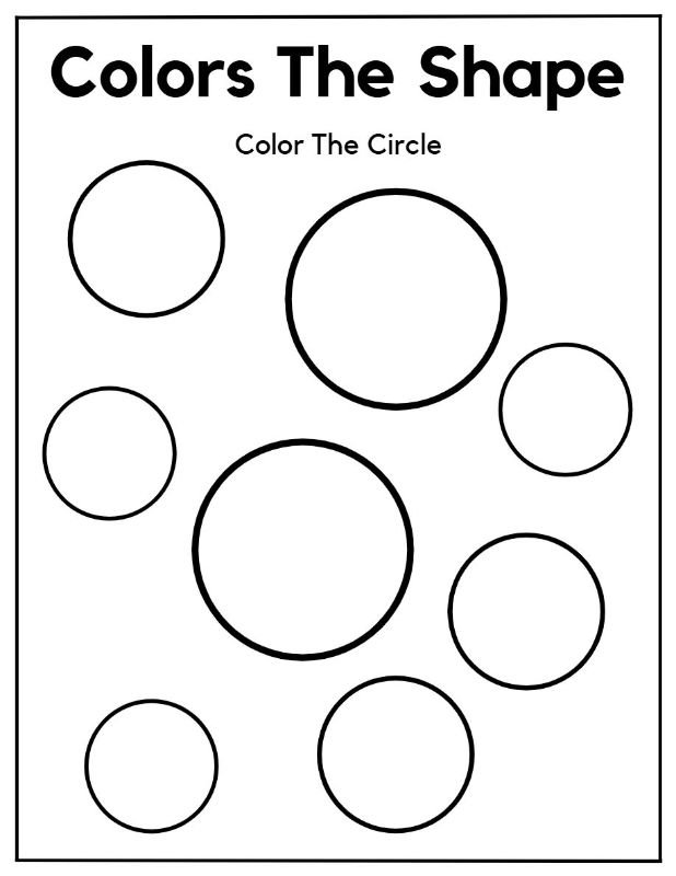 Colors the Shape
